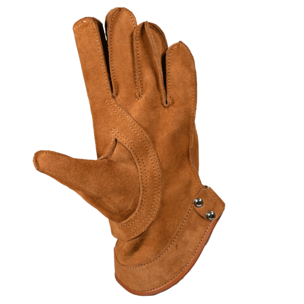 Gloves EBL158